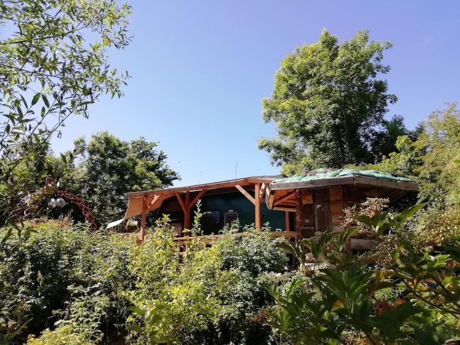 Truck & Pod Creative Nature Retreat. バントリー エクステリア 写真