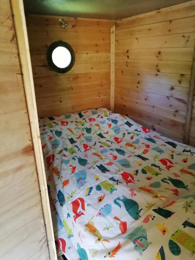 Truck & Pod Creative Nature Retreat. バントリー エクステリア 写真